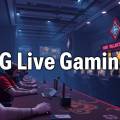 DG真人：打造最真實的遊戲體驗